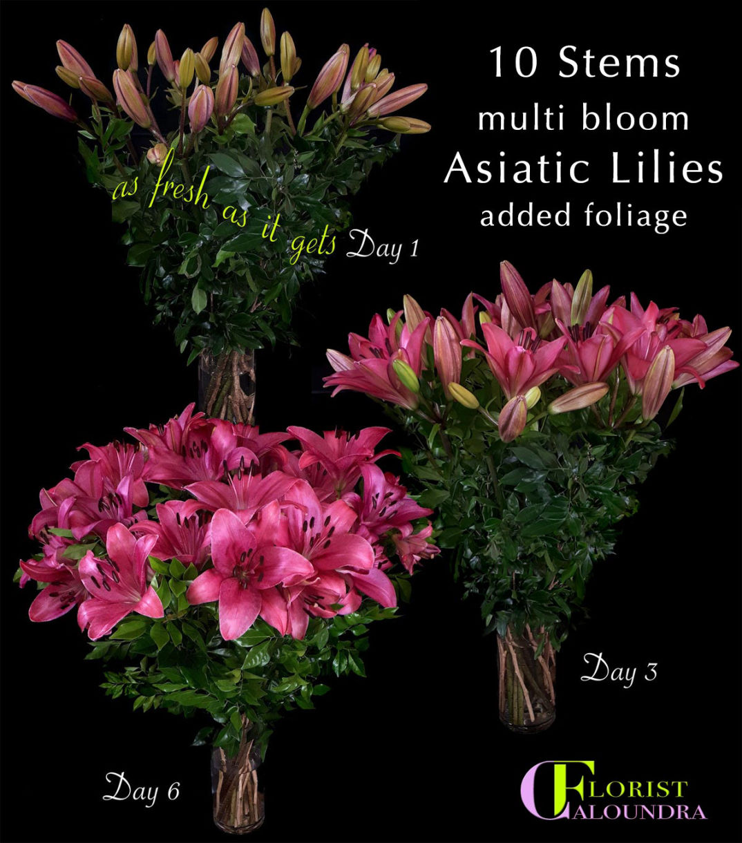 ASIATIC LILIES CALOUNDRA FLORIST